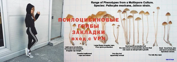 меф Белокуриха